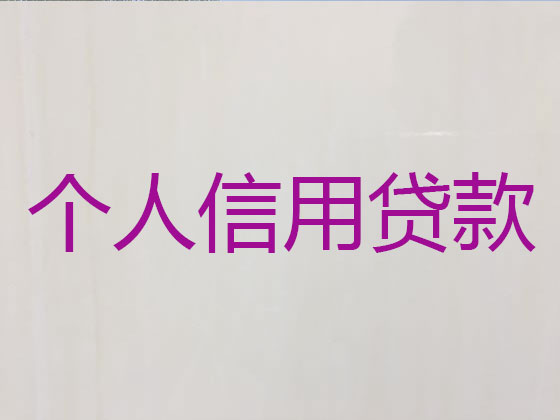 铜川贷款公司-银行信用贷款